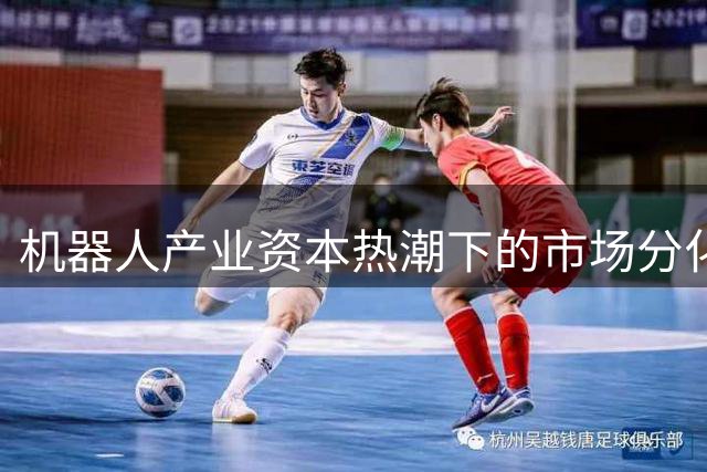 机器人产业资本热潮下的市场分化现象